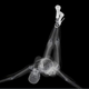 Image for article titled X-Ray Console Quiz!